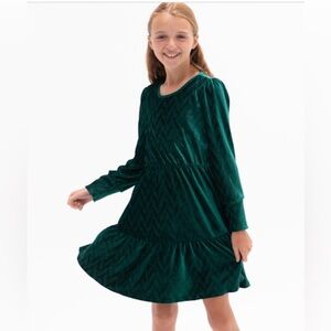 Rare Editions Big Girl Textured Velvet Tiered Dress Hunter Size 16 Holiday NEW